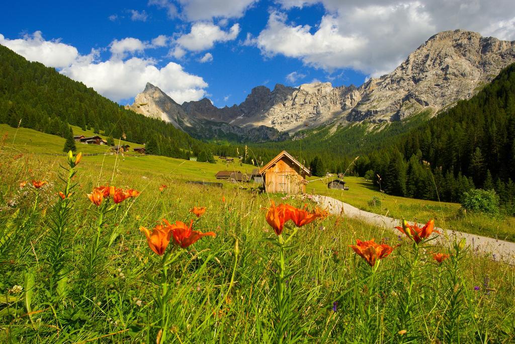 Relais San Giusto Hotel Campitello di Fassa Eksteriør billede